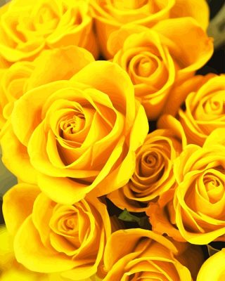 Yellow Roses NEW Paint By Numbers