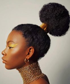 African Woman With Hair Accessories For Afros paint by numbers