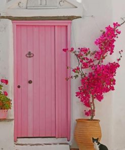 Beautiful Pink Door paint by numbers