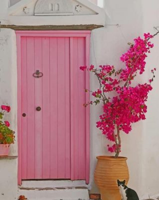 Beautiful Pink Door paint by numbers