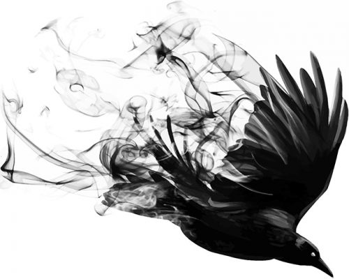 Bird Smoke NEW Paint By Numbers