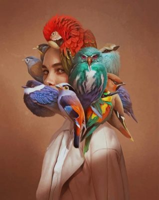 birds woman art paint by numbers