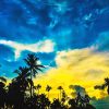 Blue And Yellow Sky NEW Paint By Numbers