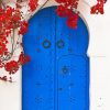 Blue Door and Red Flowers paint by numbers