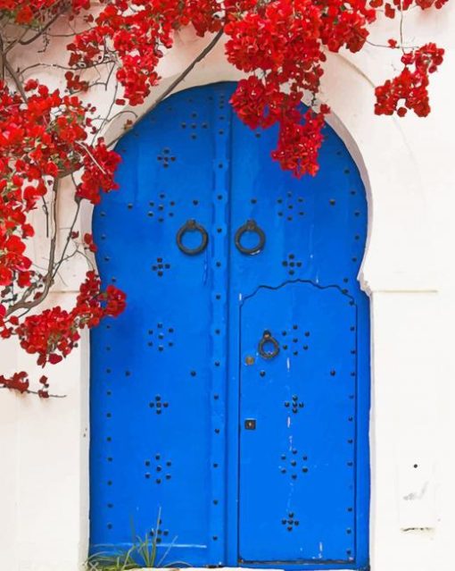 Blue Door and Red Flowers paint by numbers