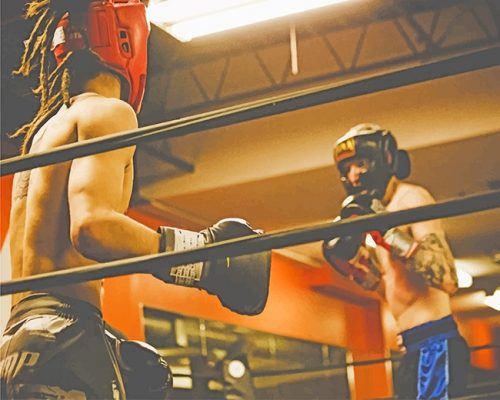Boxing NEW Paint By Numbers