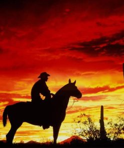 Cowboy Sunset paint by numbers