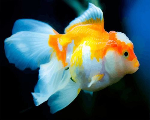 Golden Blue Fish NEW Paint By Numbers