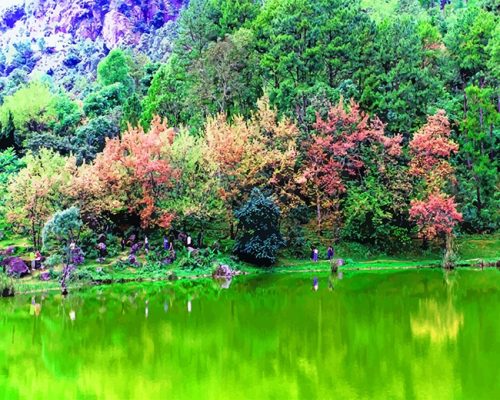 Green Lake NEW Paint By Numbers