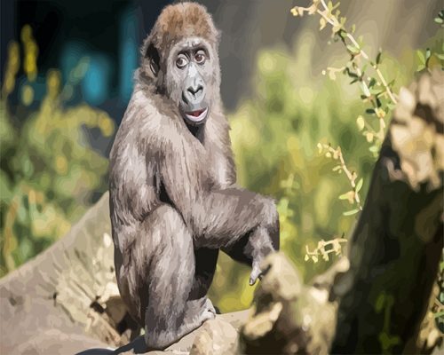 Macaque Monkey NEW Paint By Numbers