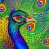 Peacock Drawing Morgan Davidson paint by numbers