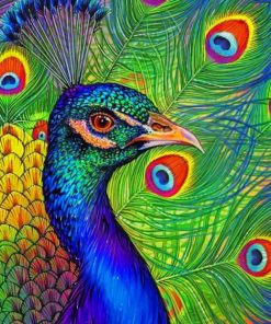 Peacock Drawing Morgan Davidson paint by numbers