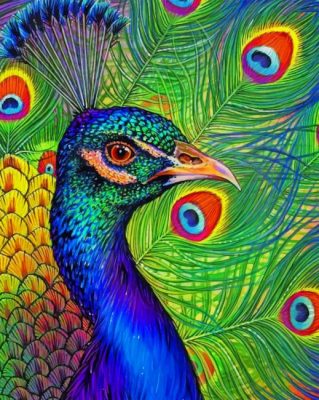 Peacock Drawing Morgan Davidson paint by numbers