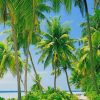 Puerto Rico Beach With Palms paint by numbers