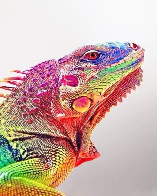 Rainbow Iguana NEW Paint By Numbers