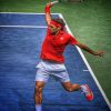 roger federer tennis player paint by number