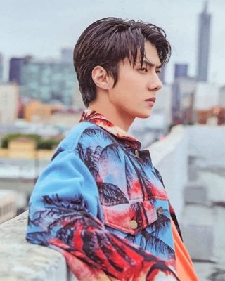 The Korean Idol Oh Sehun NEW Paint By Numbers