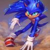 sonic the hedgehog Cartoon paint by number