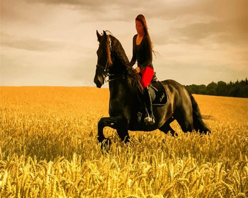 Stallion Horse Woman Cavalier NEW Paint By Numbers