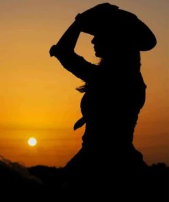 Sunset Silhouette Cowgirl On Horse paint by numbers