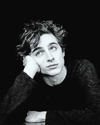 Timothée Black And White Portrait NEW Paint By Numbers