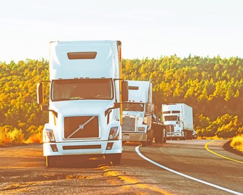 White Volvo Truck NEW Paint By Numbers
