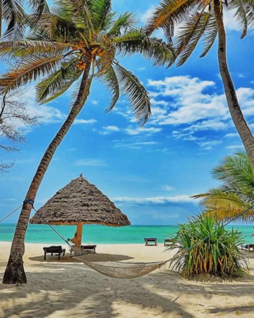 zanzibar pongwe bali paint by numbers