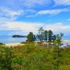 Abel Tasman National Park paint by number