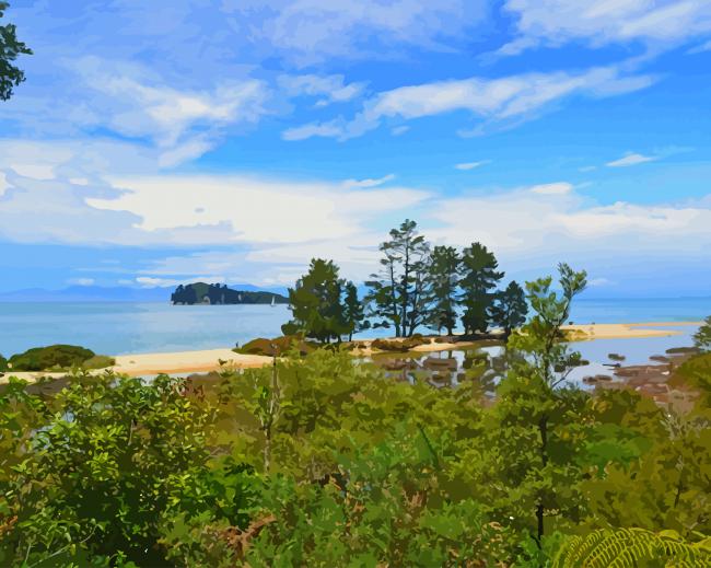 Abel Tasman National Park paint by number