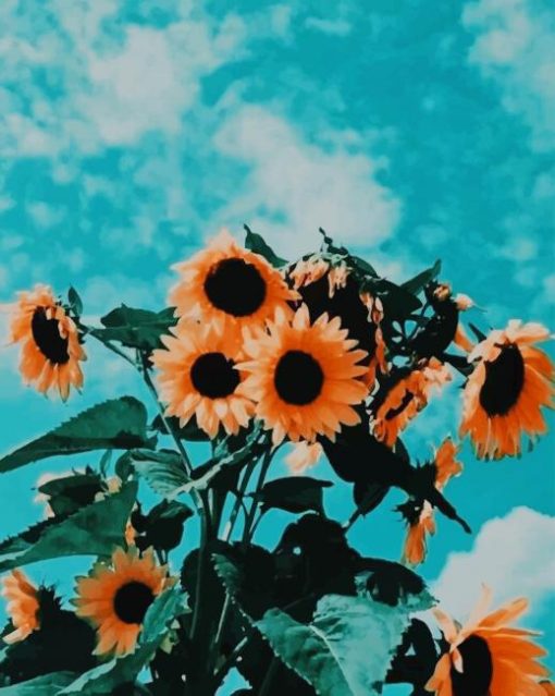 Aesthetic Summer Sunflowers paint by number