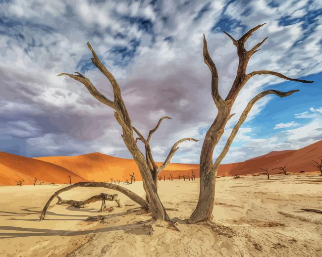 Africa Desert Namib paint by number