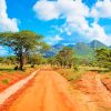 west africa tsavo kenya painting by numbers