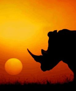 African Sunset Rhinos paint by numbers