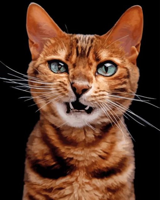 Angry Cat paint by numbers