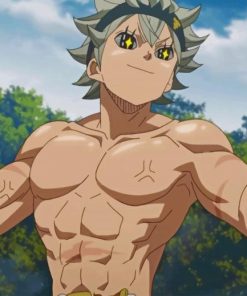 Asta Black Clover paint by numbers