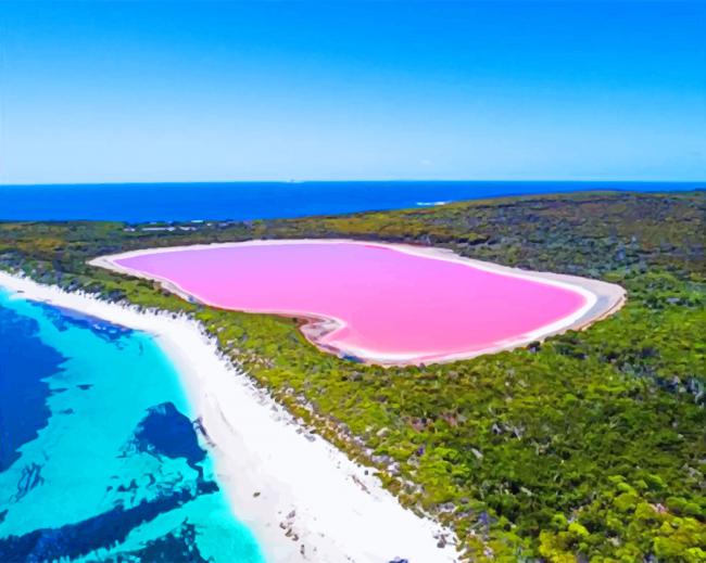 bubble gum pink lake painting by numbers