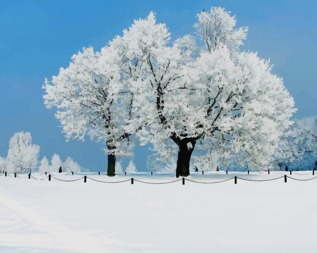 Beautiful Winter Snow paint by number