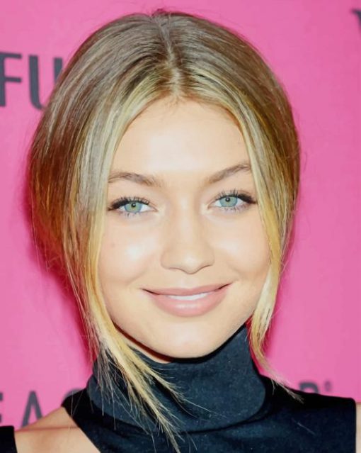 Beautiful gigi hadid paint by numbers