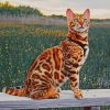 Bengal Cat paint by numbers