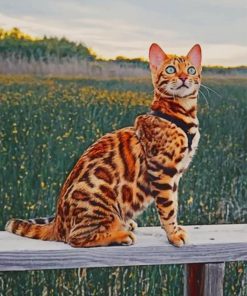 Bengal Cat paint by numbers