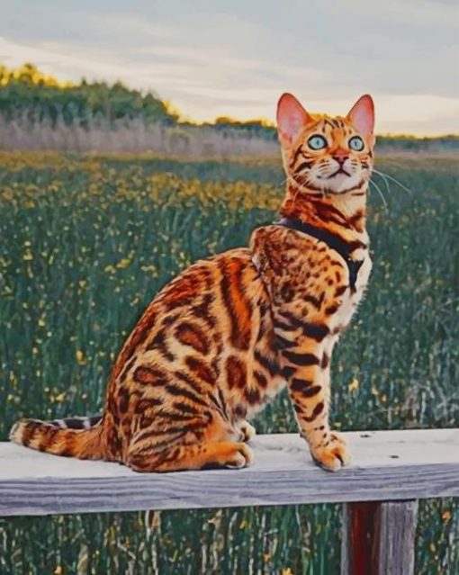 Bengal Cat paint by numbers