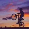 Bicycle Bike Silhouette paint by number