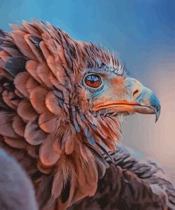 Bird Of Prey paint by numbers