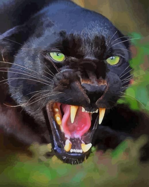 Black Jaguar paint by numbers