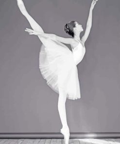 Black And White Ballet Dancer paint by numbers