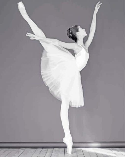 Black And White Ballet Dancer paint by numbers