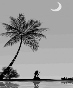 Black And White Moon And Palm paint by number