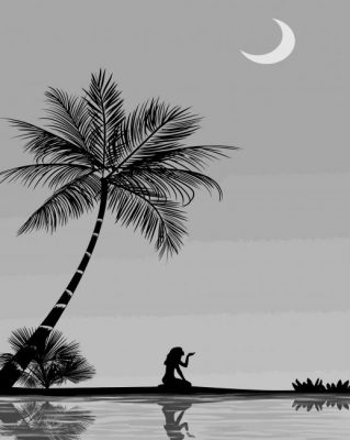 Black And White Moon And Palm paint by number