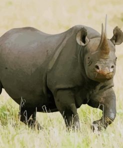 Black Rhinoceros Animal paint by numbers