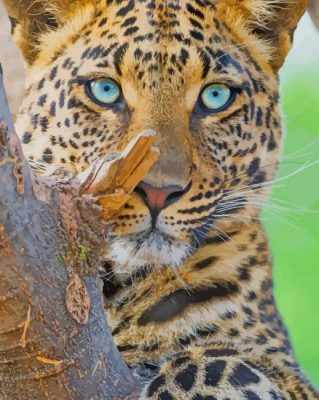 Blonde Leopard paint by numbers